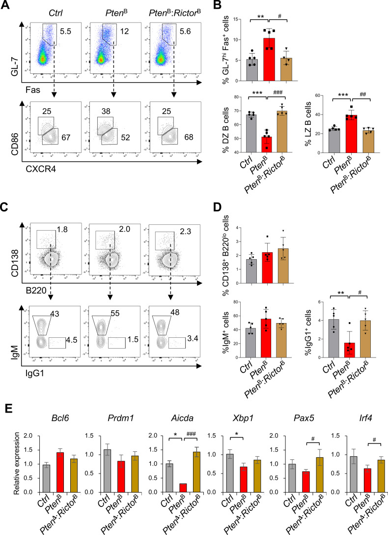 Figure 6