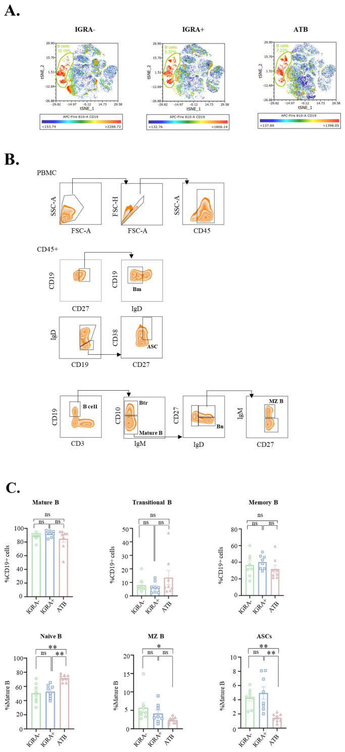 Figure 3