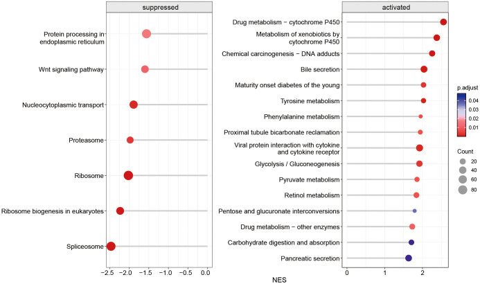 Figure 5