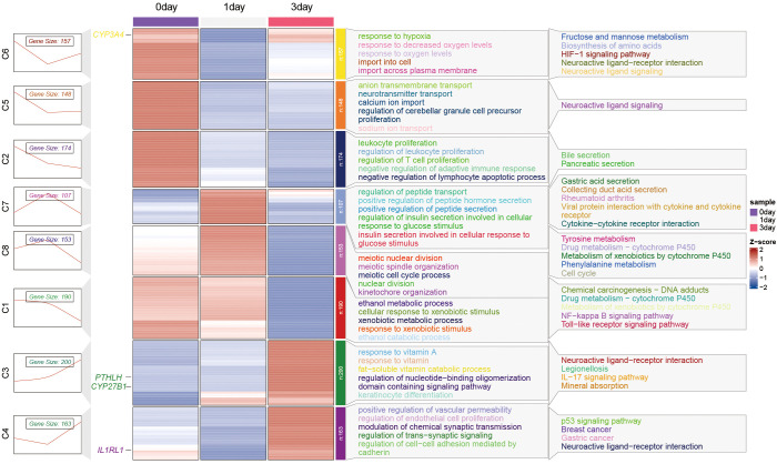 Figure 6