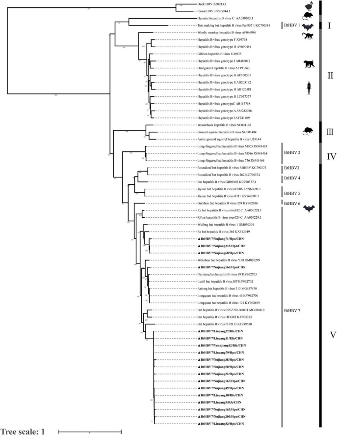 FIGURE 1