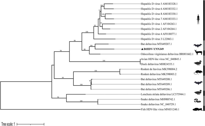 FIGURE 2