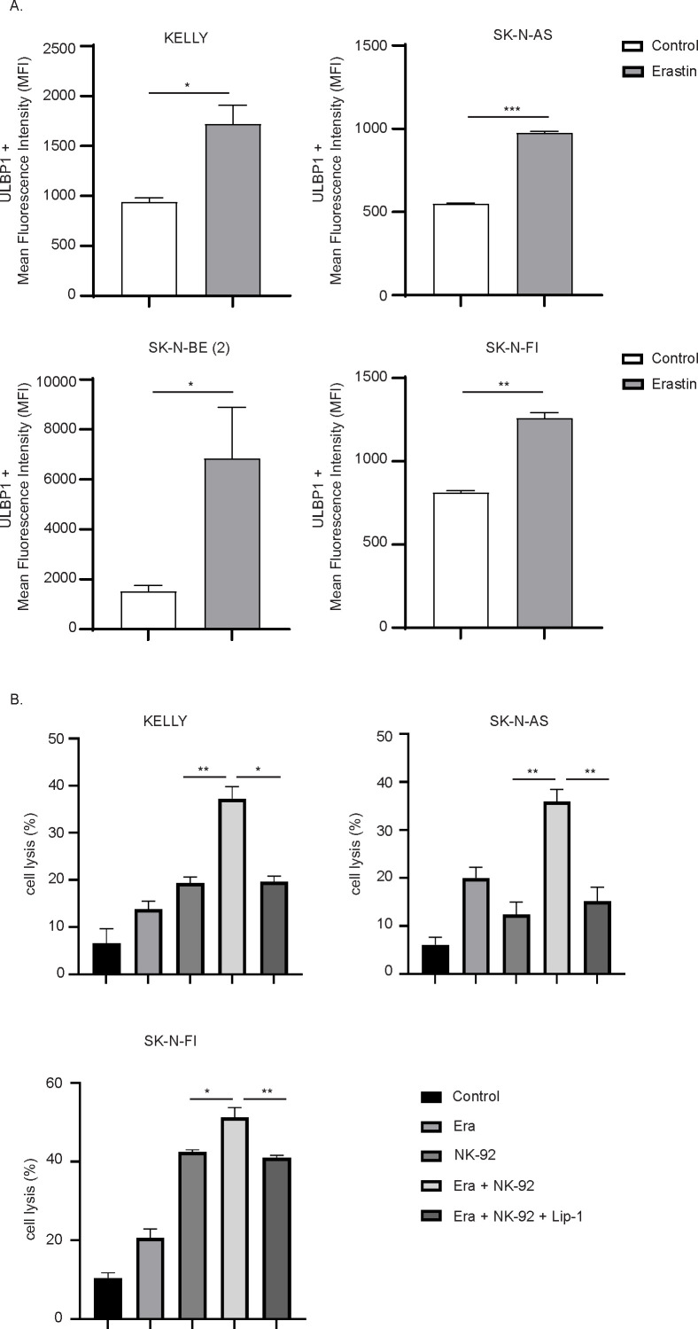 Figure 6