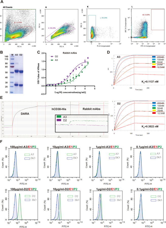Figure 2