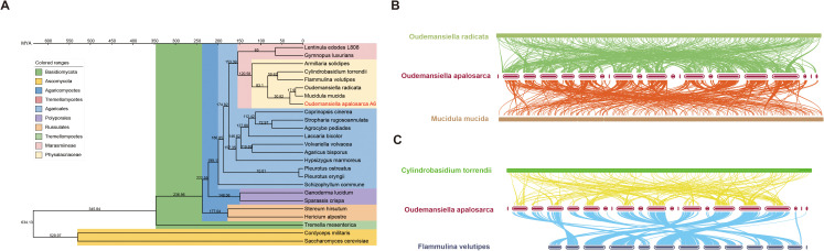 Figure 3