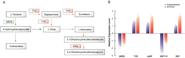 Figure 6