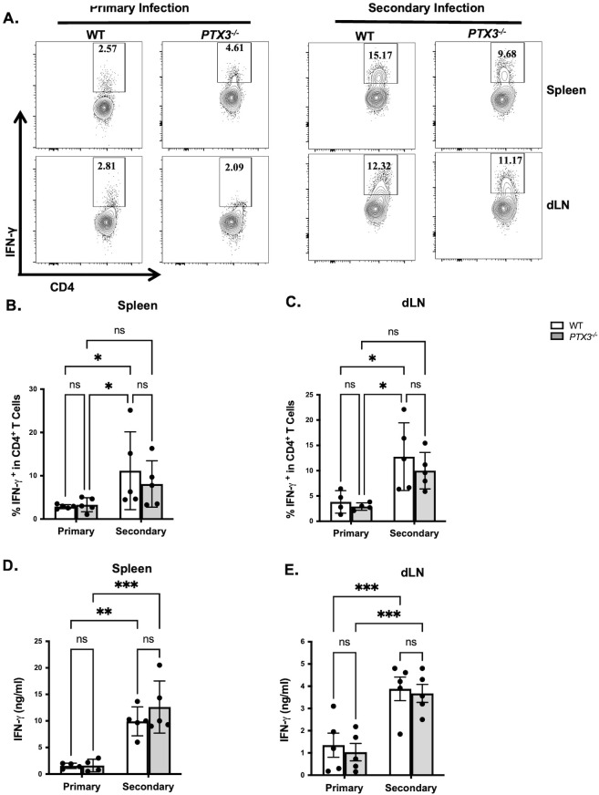 Figure 3