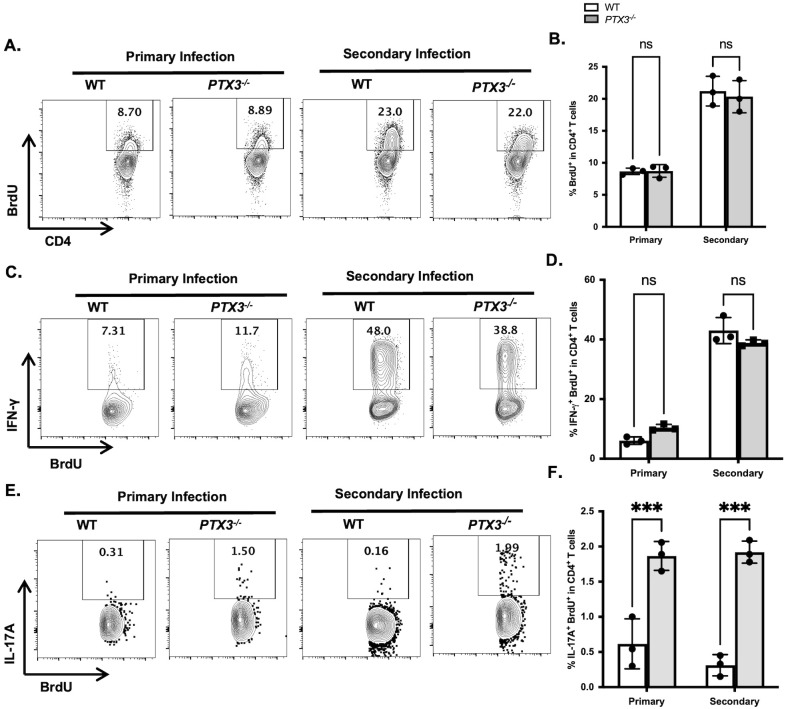 Figure 5