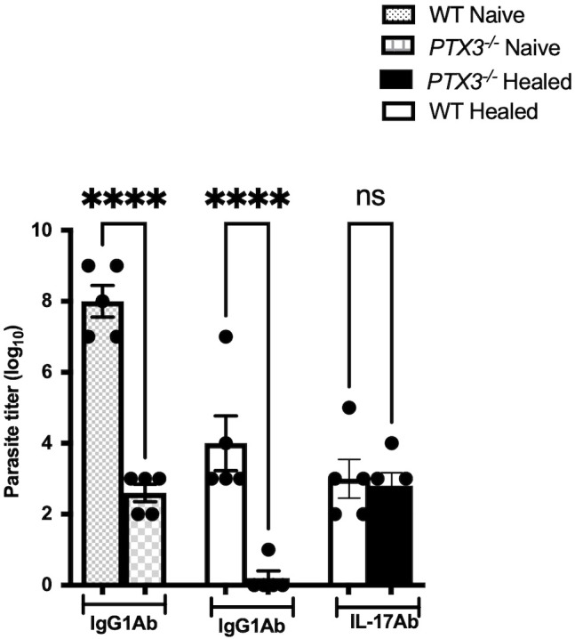 Figure 6