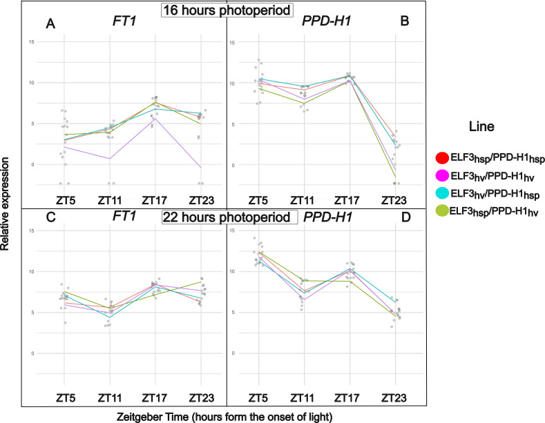 Figure 2