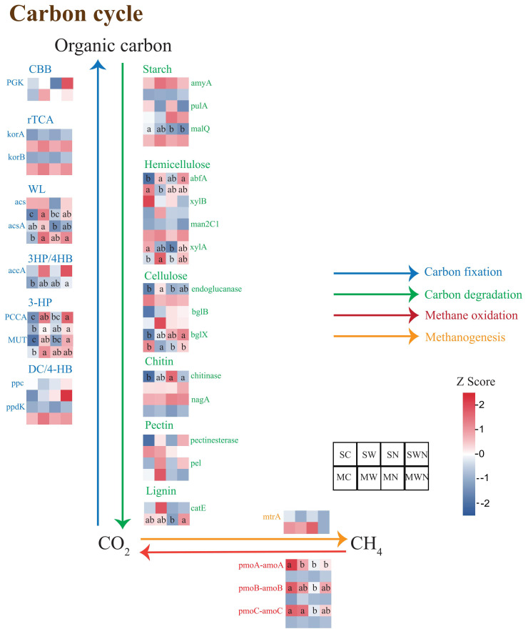 Figure 4