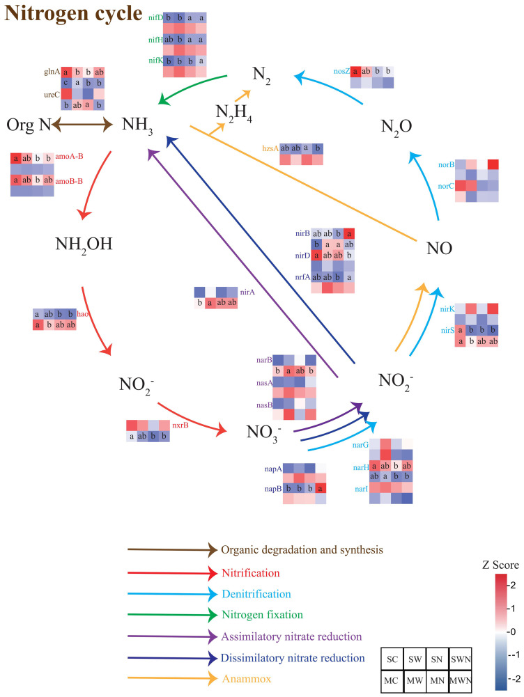 Figure 5