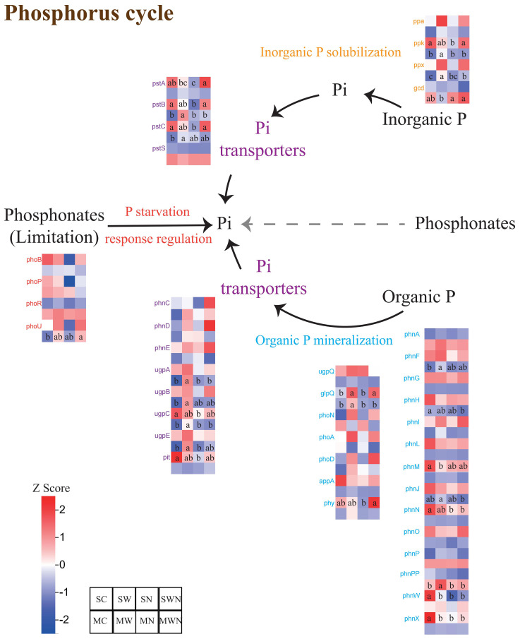 Figure 6