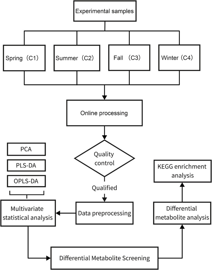 Figure 1