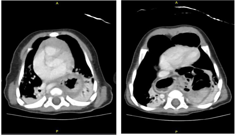 Figure 2