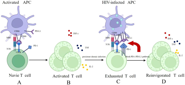 Figure 1