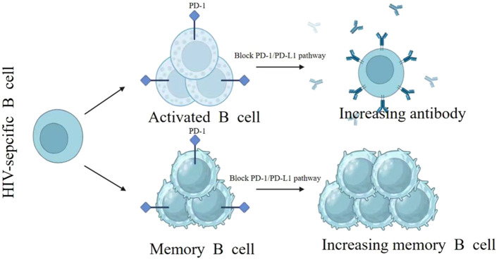 Figure 2