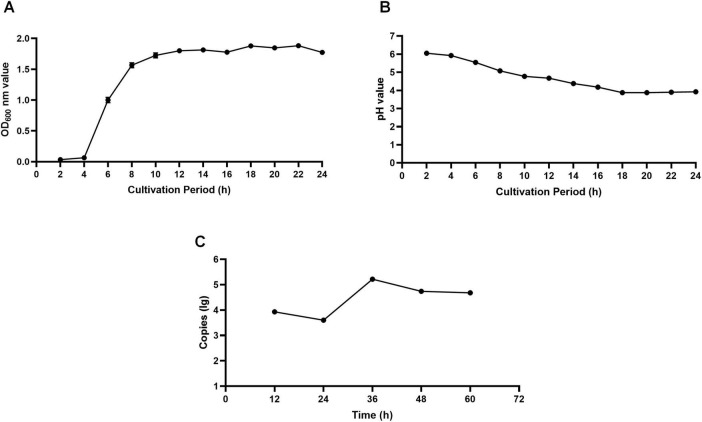 FIGURE 2