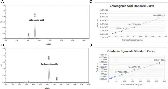 FIGURE 10