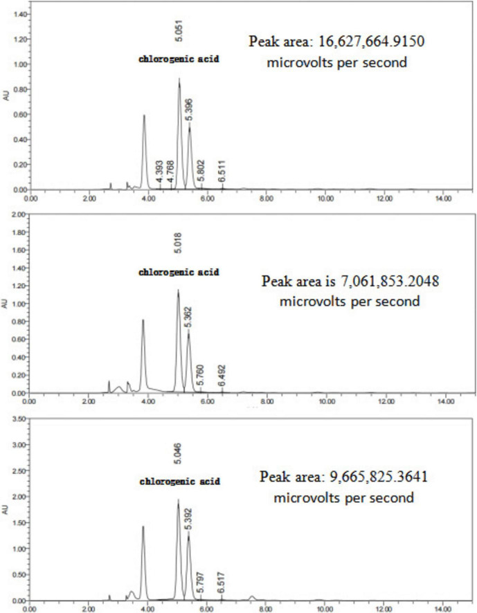 FIGURE 11