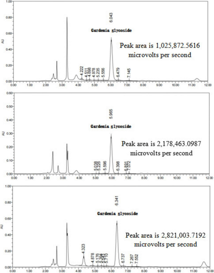FIGURE 12