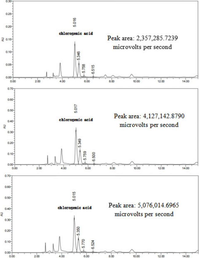 FIGURE 13