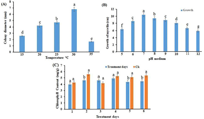 Figure 6