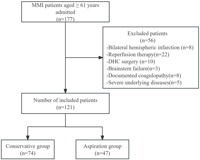 Figure 1