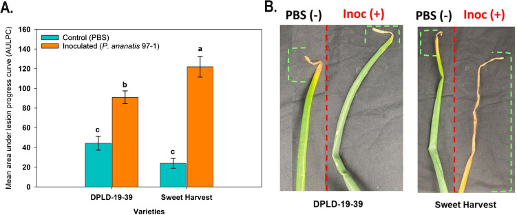 Figure 2