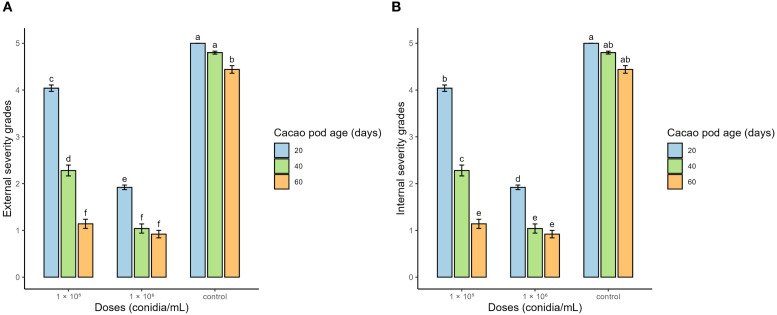 Figure 2