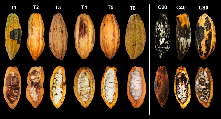 Figure 3
