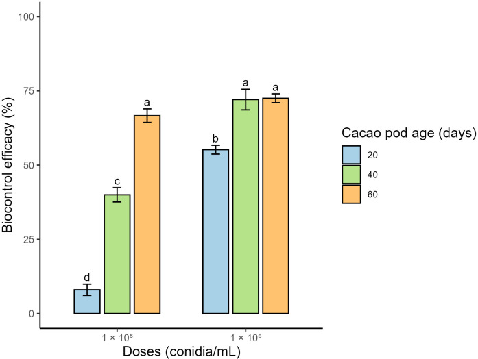 Figure 4