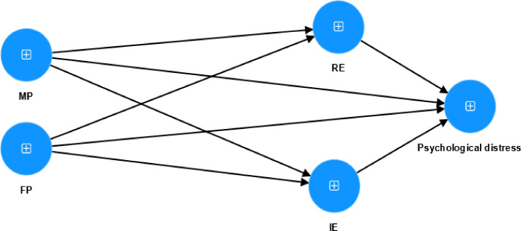 Figure 1
