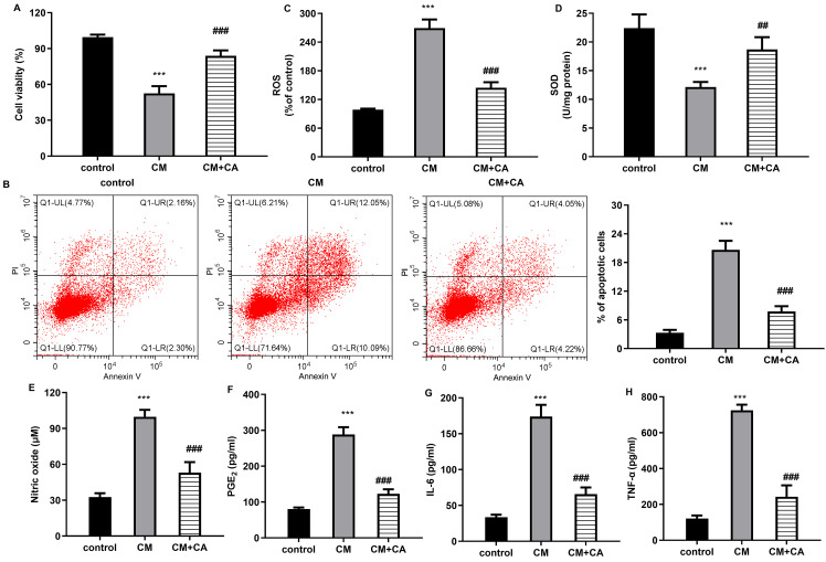 Figure 3