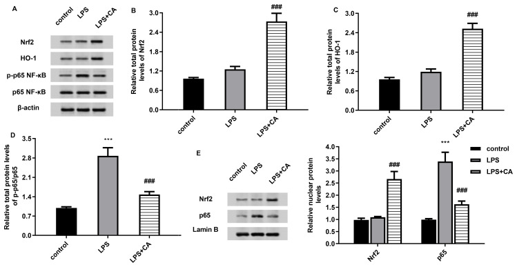 Figure 5