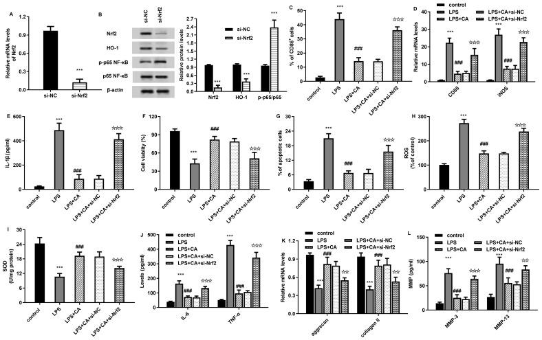 Figure 6