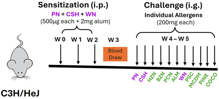 Figure 1