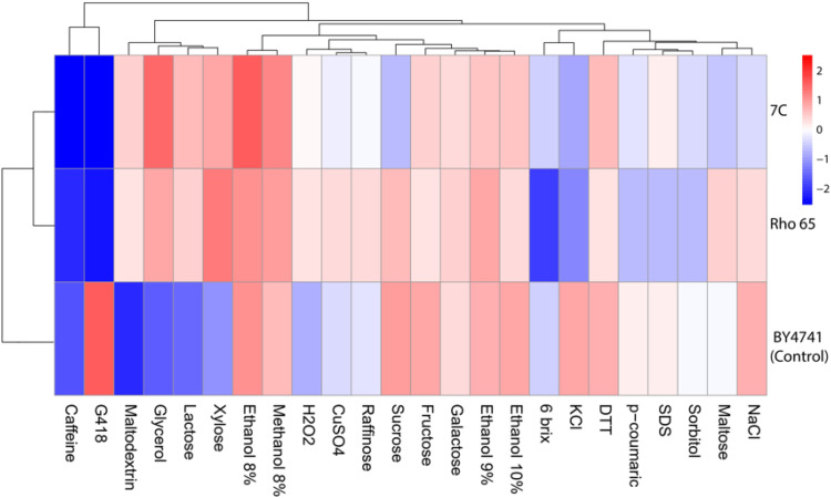 Figure 3