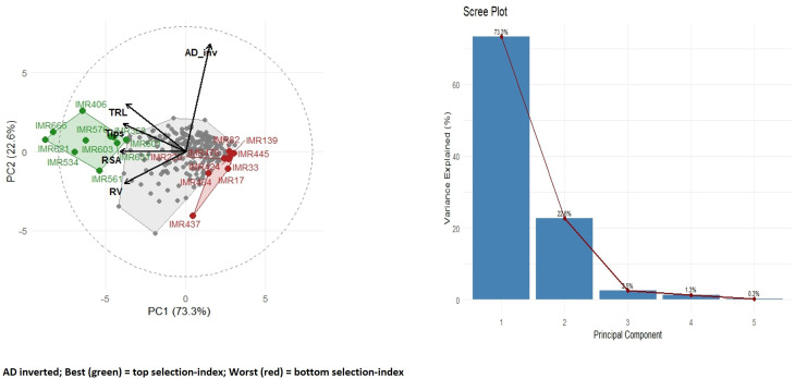 Figure 3
