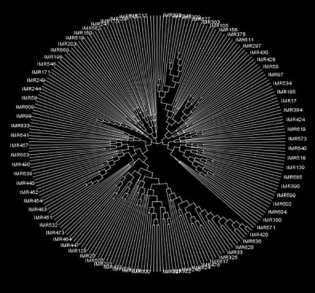 Figure 7