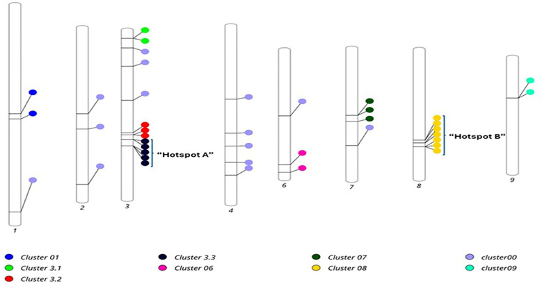 Figure 10