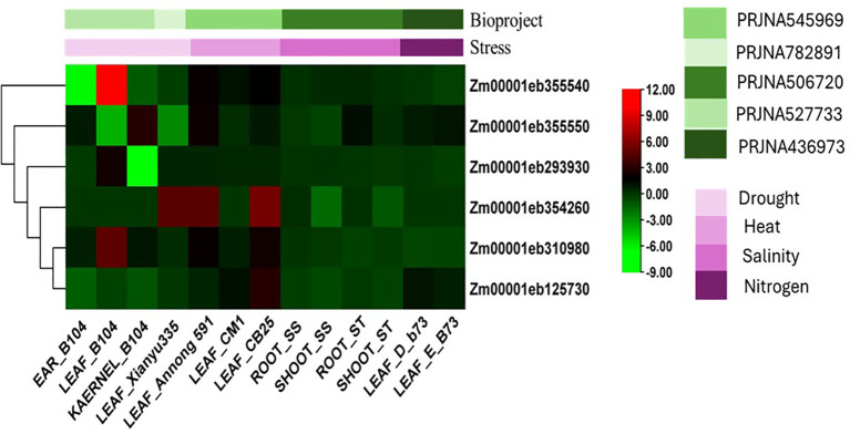 Figure 12