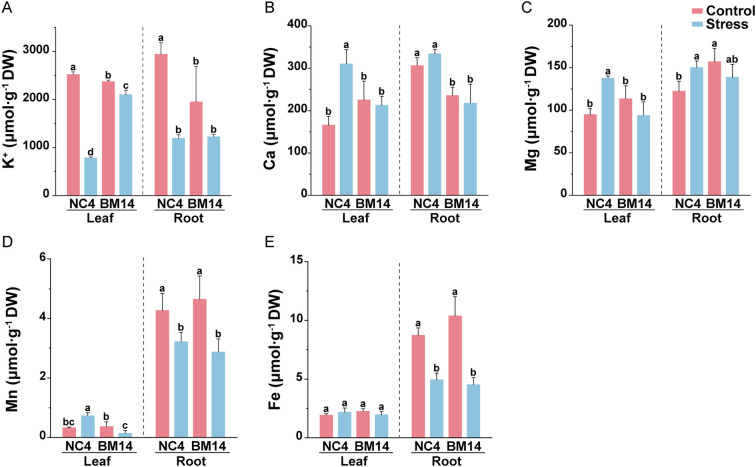 Figure 3