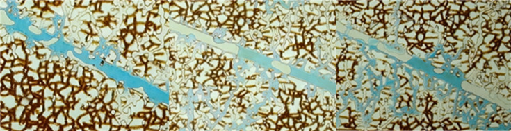 Figure 21
