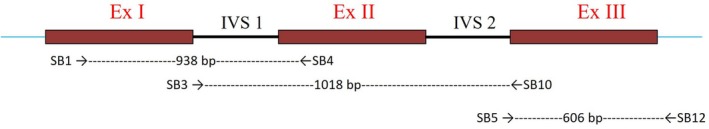 FIGURE 2