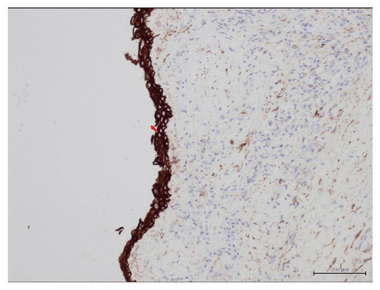 Figure 5