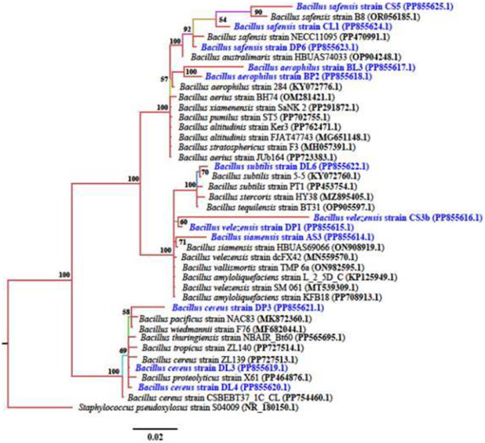 Figure 1