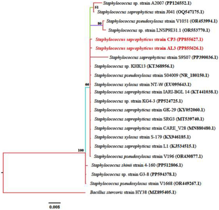 Figure 2