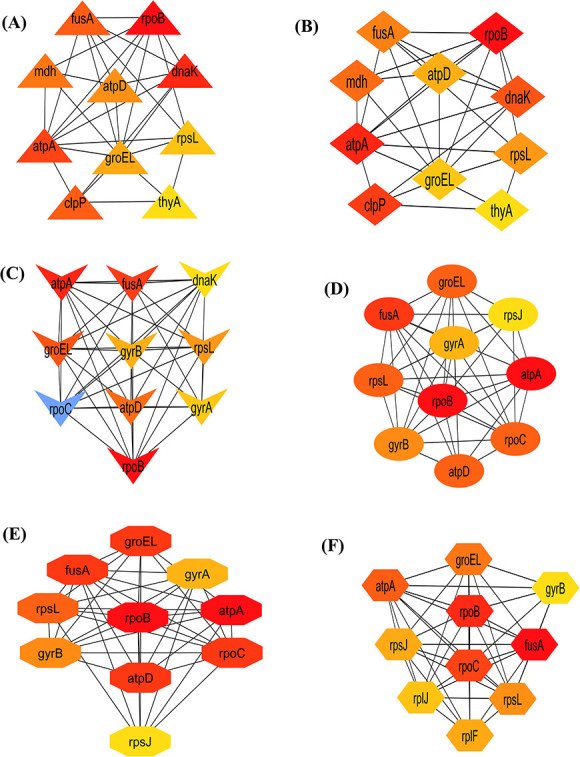 Figure 5