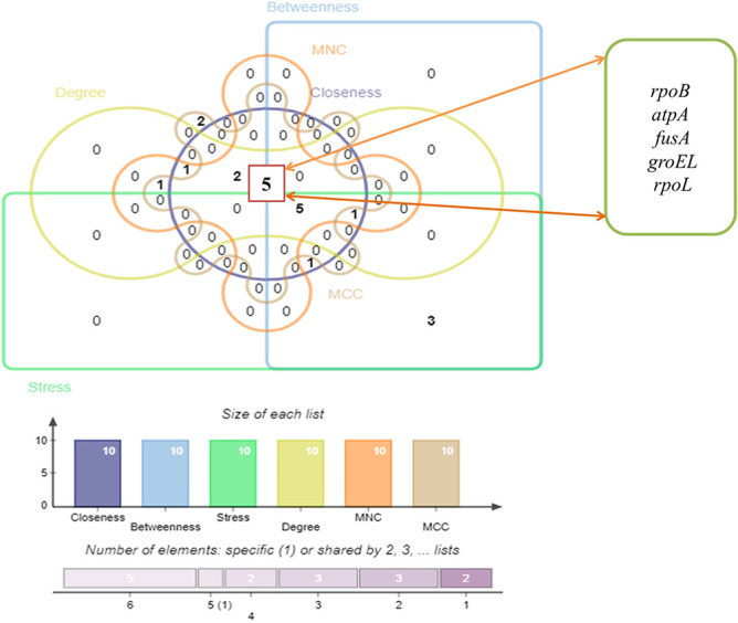 Figure 6